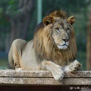 Birsa Zoological Park 