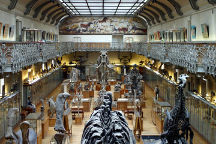 The Natural History Museum Tours