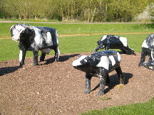Concrete Cows
