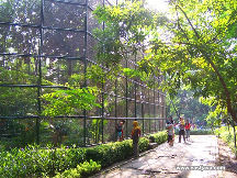 Kebun Bibit Surabaya