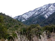 Mount Wrightson-Coronado National Forest