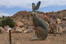 Nature Discovery Trail and Rock Garden