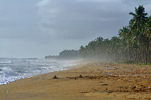 Kappil Beach