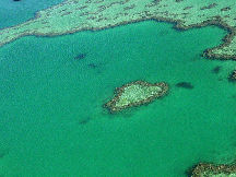 Heart Reef