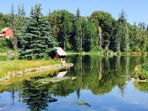 Center for Environmental Studies