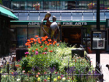 Aspen Grove Fine Arts