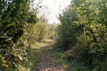Howe Park Wood