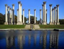 United States National Arboretum