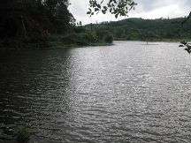 Kulamavu Dam