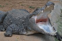 Amaravathi Crocodile Farm