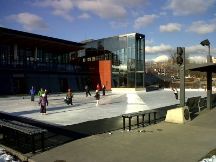 the Rotary Centennial Pond