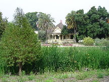 Fullerton Arboretum
