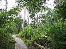 Dalby Soderskog National Park