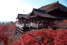 Kiyomizu-dera