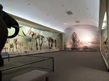 the Nebraska State Museum