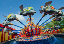 Wild Dragon Adventure Park