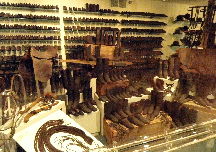 Learn about steamboats