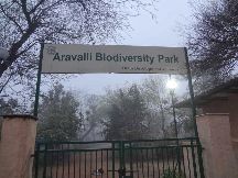 Aravalli Biodiversity Park