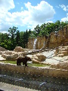 The Assiniboine Park and Zoo 