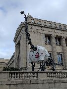 University of Kansas Natural History Museum
