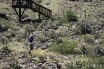 Arizona Zipline Adventures 