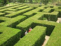 Coban Rondo Maze & Waterfall
