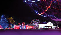 Ontario Power Generation Winter Festival Of The Lights 