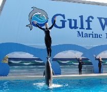 Gulf World Marine Park