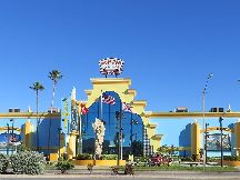 Find Your Inner Surfer at Ron Jon Surf Shop