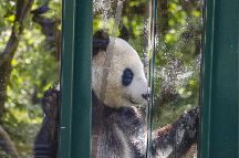 Vienna Zoo- Tiergarten Schonbrunn