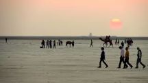 Great Rann of Kutch