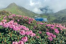 Trek to Dzuko Valley