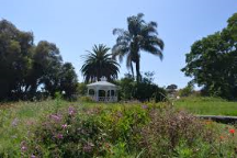 UCI Arboretum