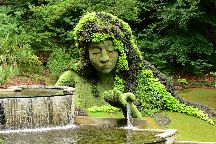 The Indian Botanical Garden