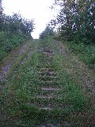 Strathcona Science Provincial Park