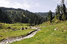 Jai Valley