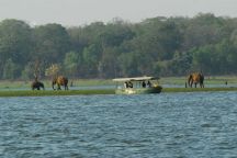 Kabini River Lodge