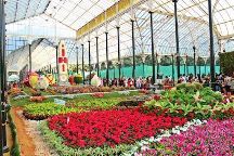 Lal Bagh in Bangalore