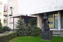 Pavle Beljanski Memorial Collection