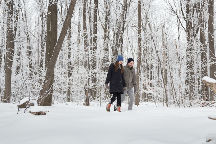  Mount Nemo Conservation Area