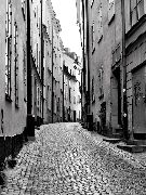 Wander the medieval backstreets of the Old Town