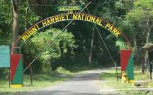 Mount Harriet National Park