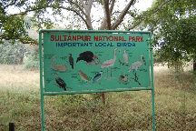 Sultanpur National Park
