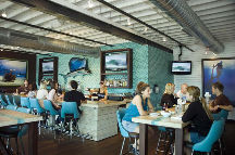 Salt Life Food Shack