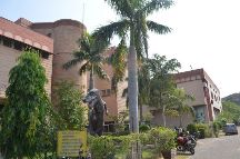 Jhansi Museum