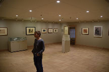 The Mann Art Gallery 