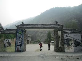 Wolong National Nature Reserve