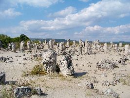 Stone Forest 