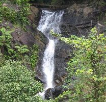 Kadambi Falls
