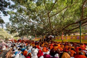 Enlightment at Bodhi Tree